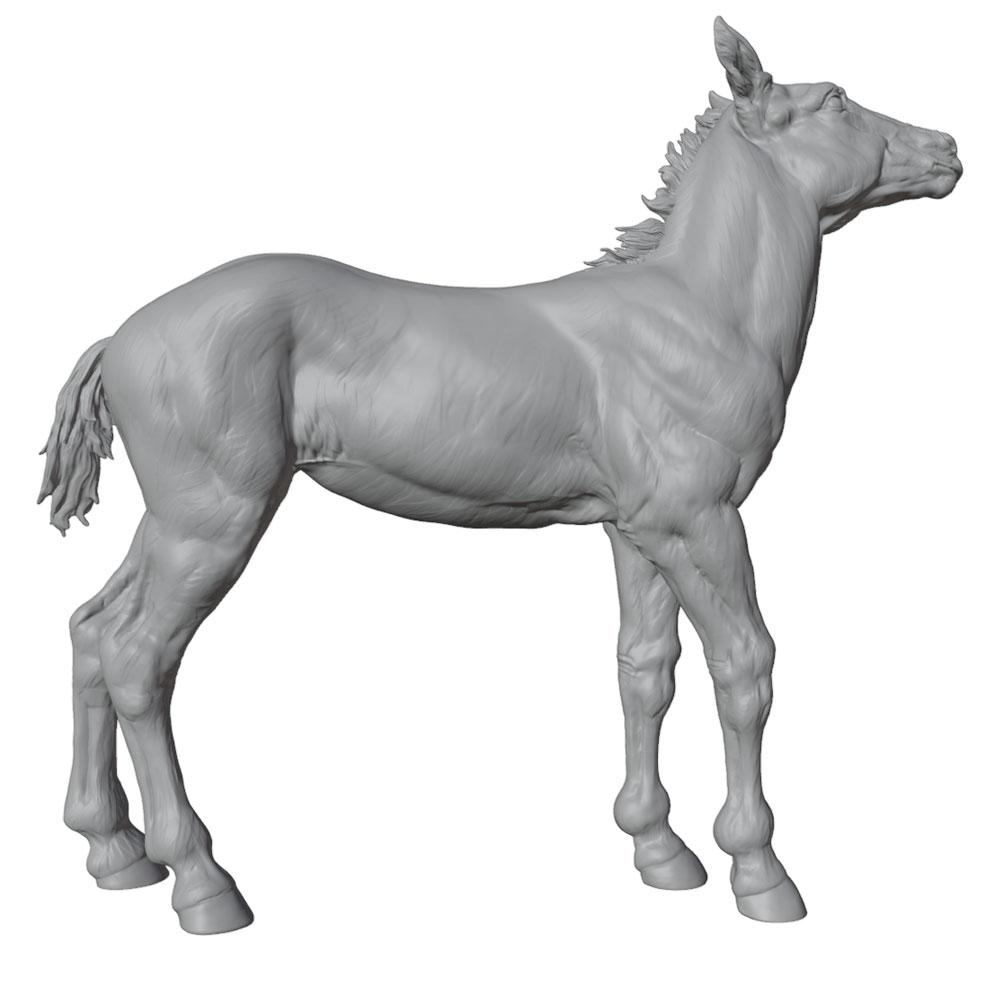 High-Detail Printing, Realisti - đánh giá và giá 3D Printing App