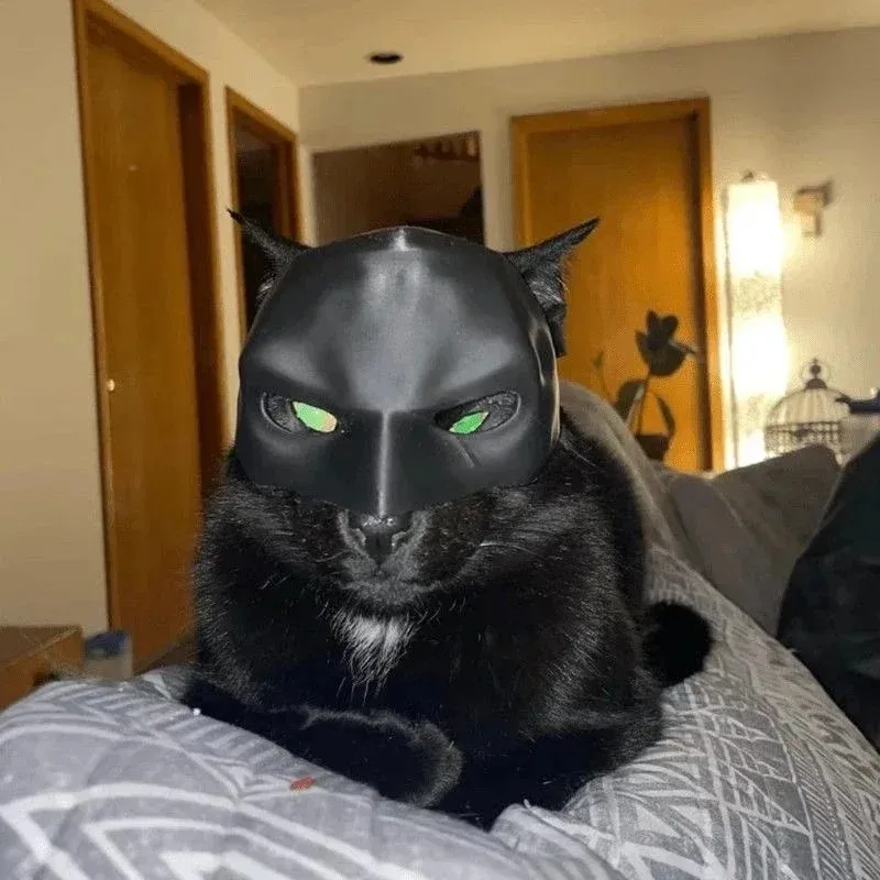 3D Printed Cat Avenger Mask Ba - đánh giá và giá 3D Printing Foto