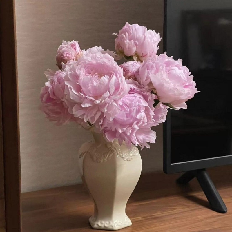 French Modern Ceramic Vase Liv - đánh giá và giá 3D Printing Vase